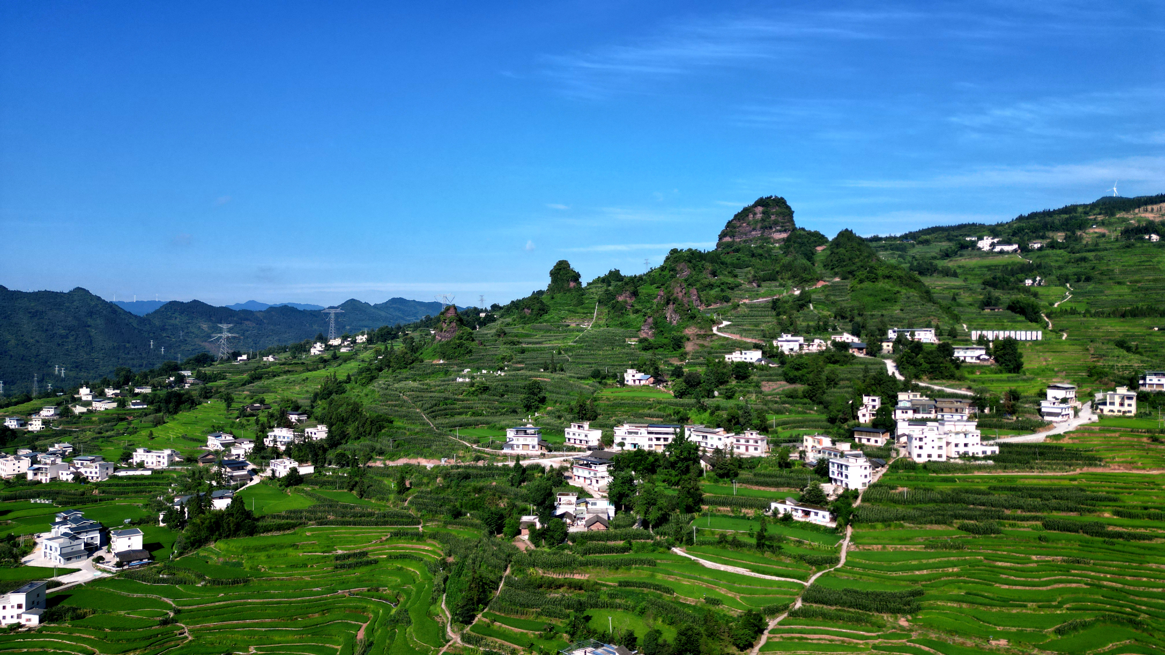 泸州古蔺:航拍万亩梯田 品一场盛夏的"绿色盛宴"